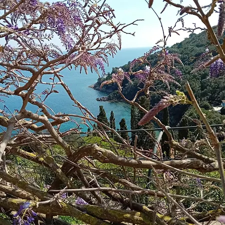 Casa Bella 'mbriana アパート