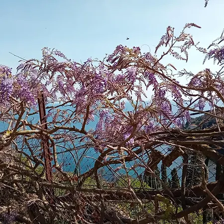 Casa Bella 'mbriana * 리오마리나